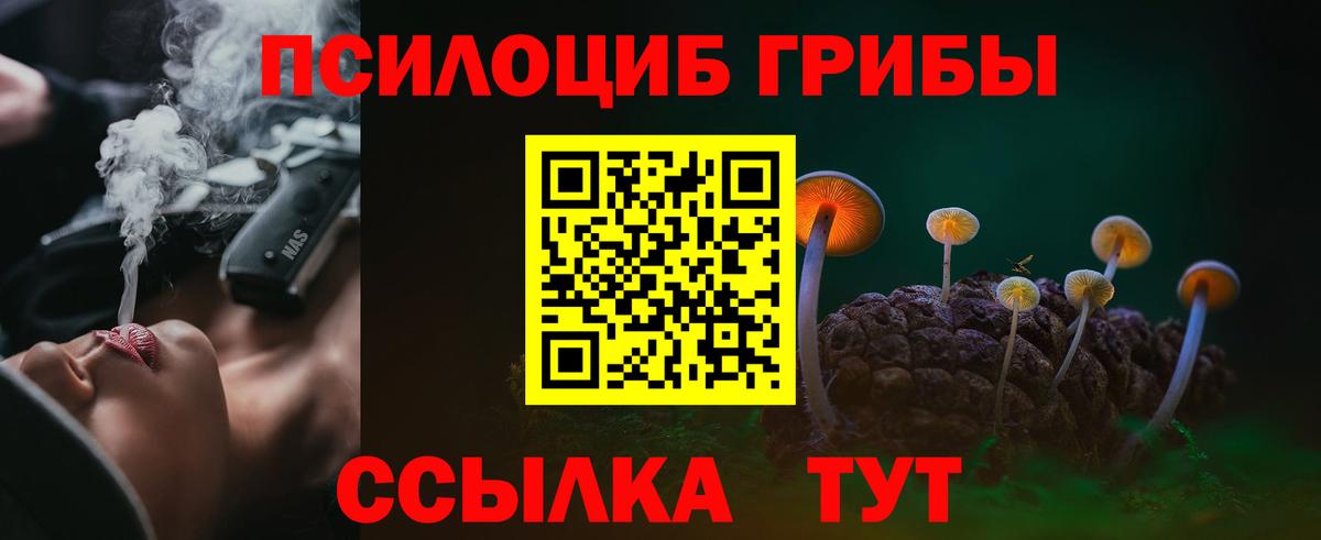 Галлюциногенные грибы Psilocybine cubensis Балашиха